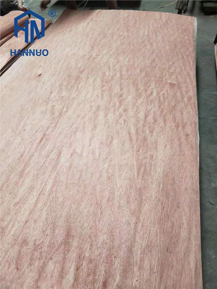 Natural Bintangor Decorative Face Wood Veneer Sheet Rotary Cutting